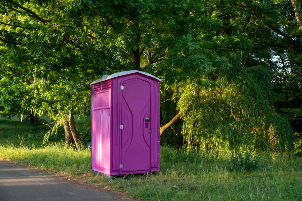 Best Local porta potty services  in Mcelhattan, PA